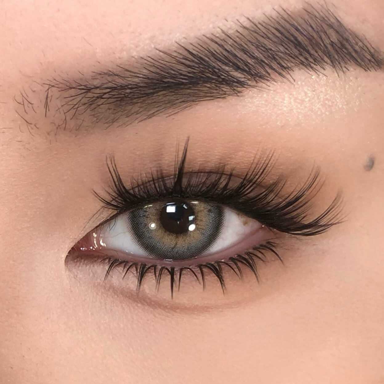 Beauty not Alone (Bottom Lashes)