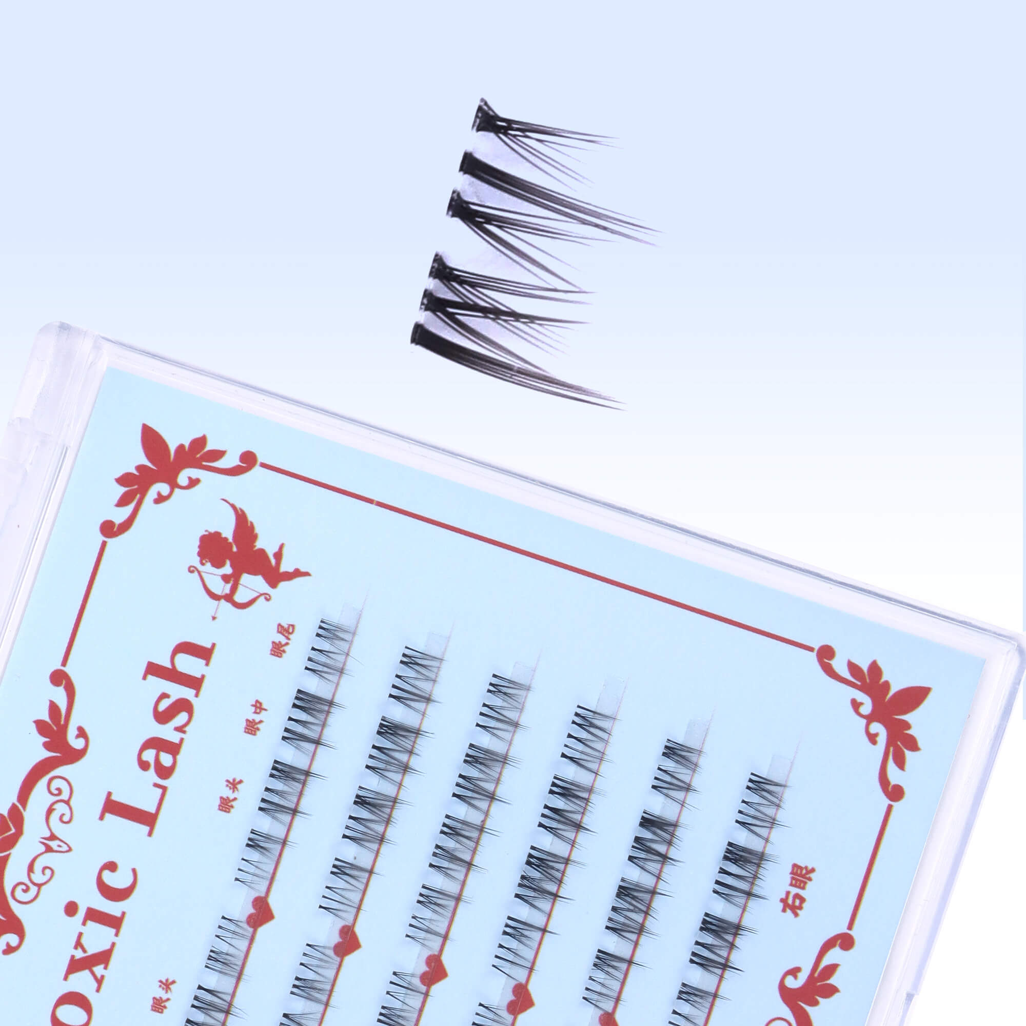 Old Acquaintance (Bottom Lashes)