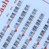 Old Acquaintance (Bottom Lashes)