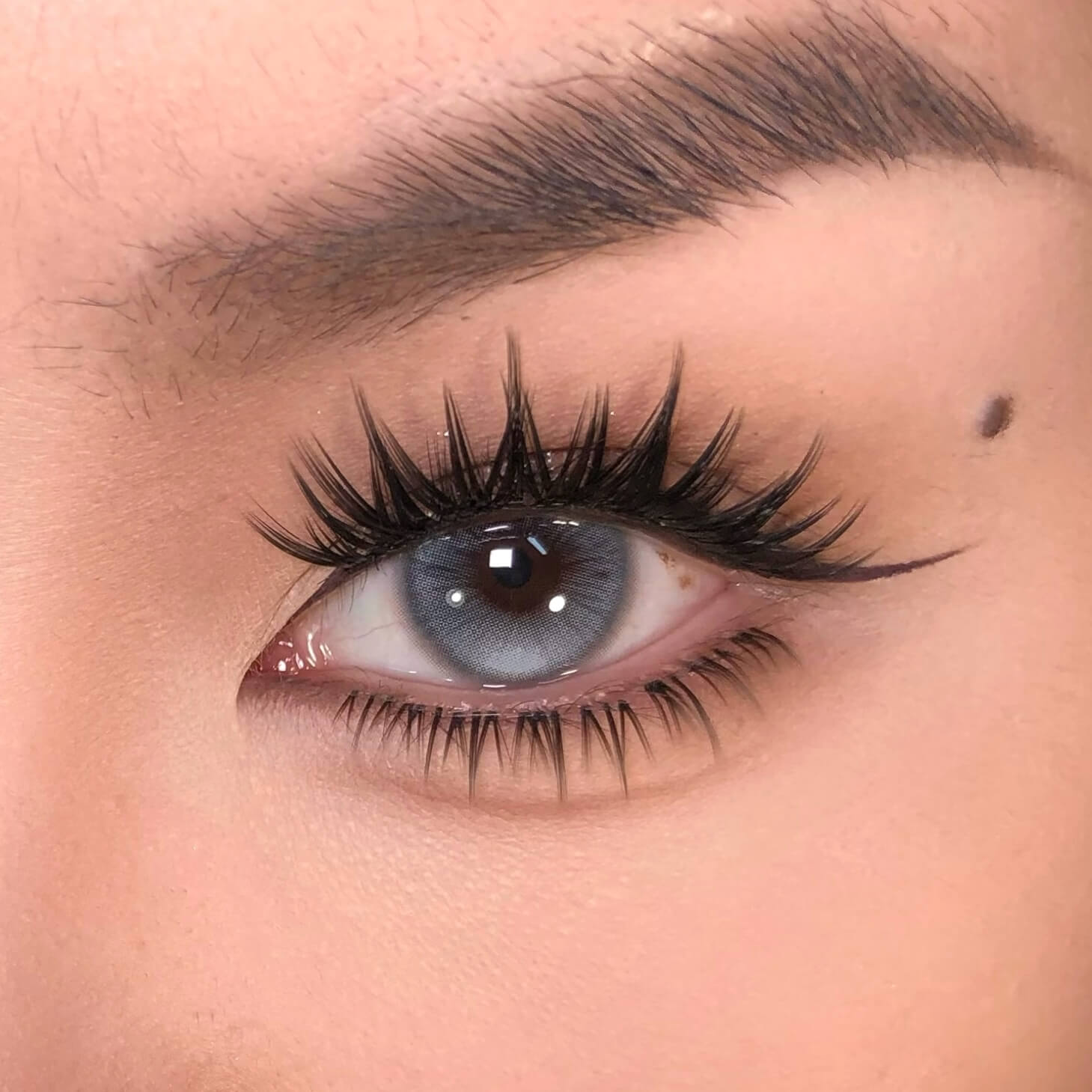 Old Acquaintance (Bottom Lashes)