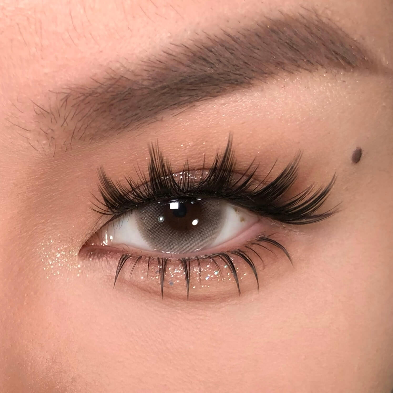 Thai Comics + Usagi (with Bottom Lashes)